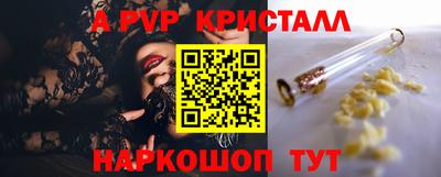 спиды Будённовск