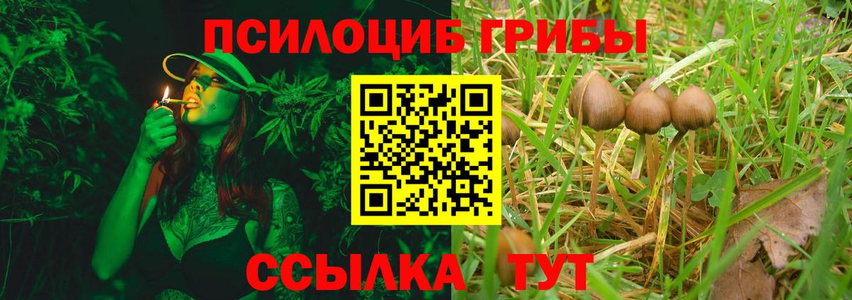 Лангепас  Псилоцибиновые грибы ЛСД  где продают наркотики  Вход с VPN  Псилоцибиновые грибы Cubensis 